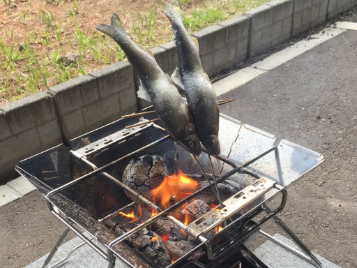 キャンプ飯 海魚ok 囲炉裏風で美味しく 焚き火台で作る魚の串焼き キャンプなどの野外活動を主体としたcomoakiブログ